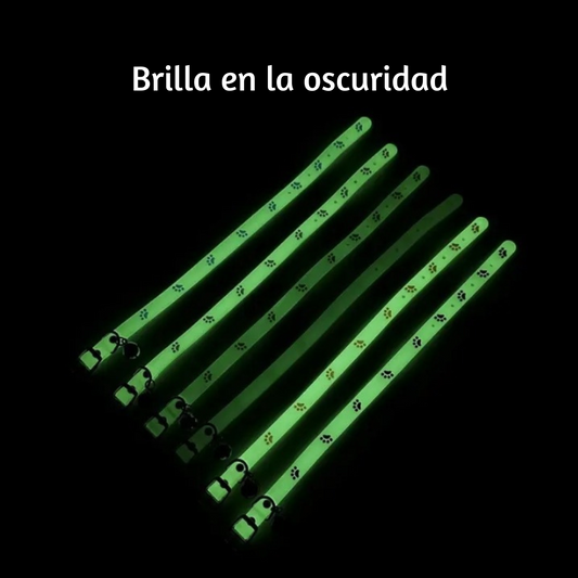Collar para gato que brilla en la oscuridad